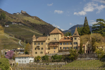 Fototapeta na wymiar Weinberge Wein Schloss Meran - castle wine Europe 