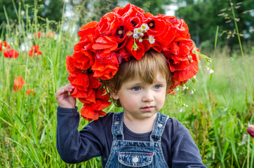 Little charming girl baby in denim dress walking on the field with poppy to wear on his head bouquet, wreath of red poppies