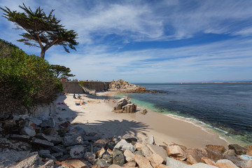 Pacific Ocean - Monterey, California, USA  - obrazy, fototapety, plakaty