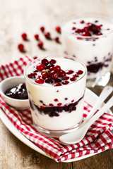 Cranberry dessert
