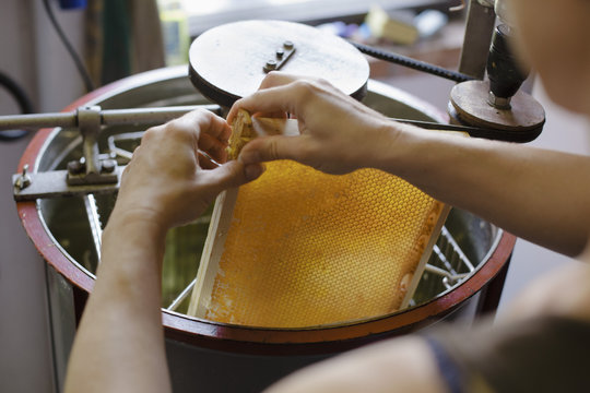 Cropped image of woman holding honeycomb in machinery at industry