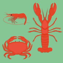 Set of seafood with crab, lobster, shrimp