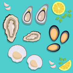 Sea food clam set, clam, oyster, scallops and mussel