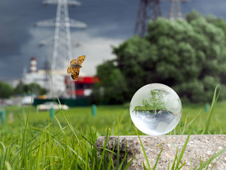 Glass ball on concrete, green grass. Flies beautiful butterfly. Background - power lines, stormy...