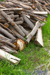 .Stack firewood lots.