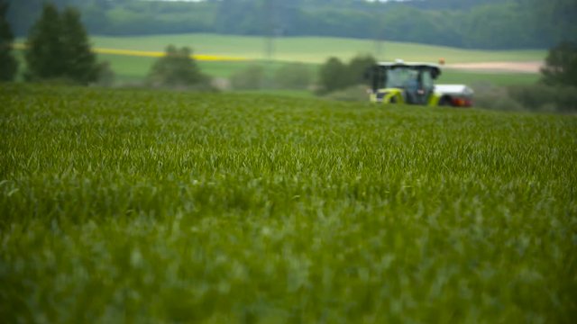 Wheat field and tractor plowing