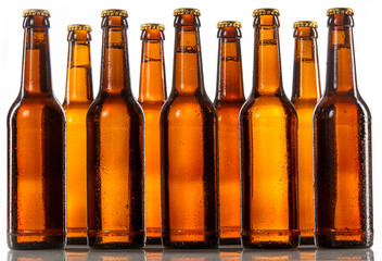 Unlabeled beer bottles standing two rows deep