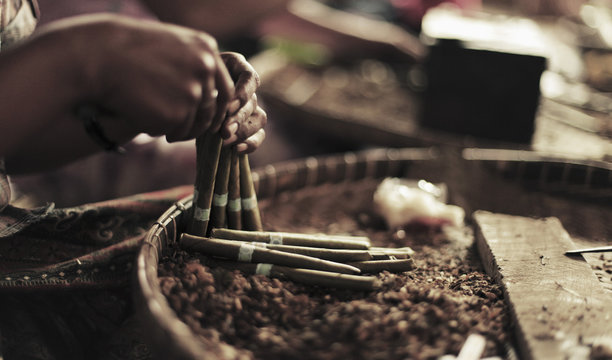 Cropped image of hands making cheroots