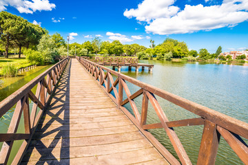 boardwalk on small lake