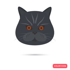 Fototapeta premium Cat muzzle color flat icon