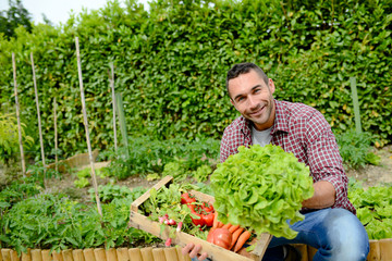 handsome young gardener growing organic bio vegetables