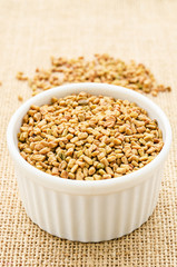 Fenugreek seeds in white bowl.