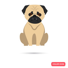 Dog color flat icon