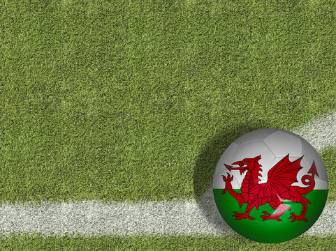 Wales Ball in a Soccer Field