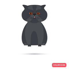 Cat color flat icon