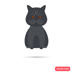 Cat color flat icon