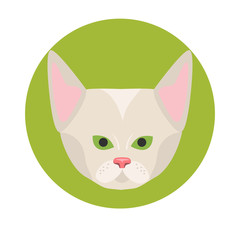 Cat muzzle color flat icon