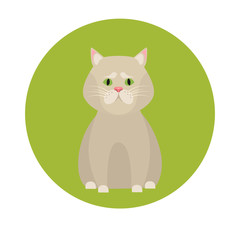 Cat color flat icon