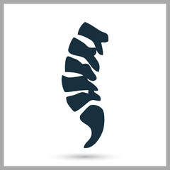 Human spine icon on the background