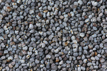 poppy seeds background