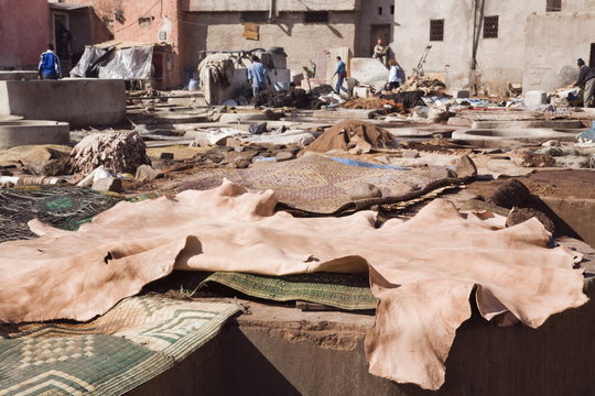 Vats and leather hides in an old Tannery owned by cooperative of families in the Medina, Marrakech, Morocco