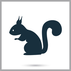 Squirrel icon on the background