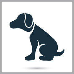 Dog icon on the background
