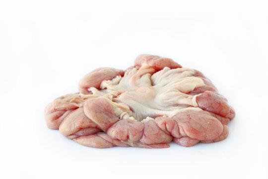 Chitterlings Images