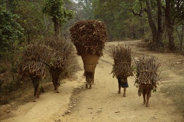 Women and children walking on a country road, carrying bundles of firewood, Chautara, north of Kathmandu, Nepal