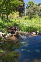 Gartenteich mit Quelle in schöner Parklandschaft