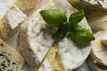 Cheese assorted on a table background. Variety sorts for appetizing, gourmet, delicious snacks. Traditional French dish for wine on lunch and dinner closeup. Camembert, Roquefort.