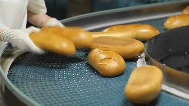 bread factory production