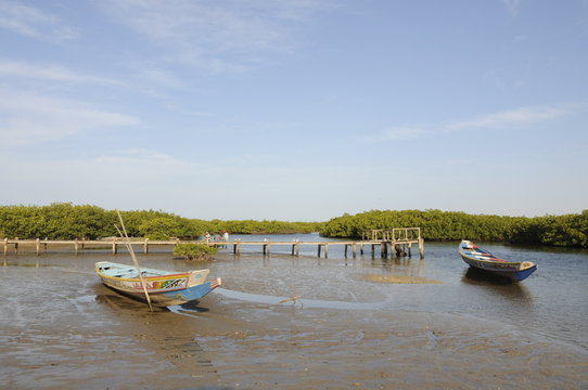 Pirogue (fishing boat) on the mangrove backwaters of the Sine Saloum Delta, Senegal, West Africa