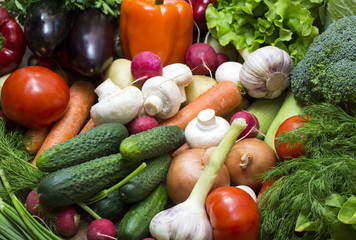 Background of fresh vegetables and greens closeup