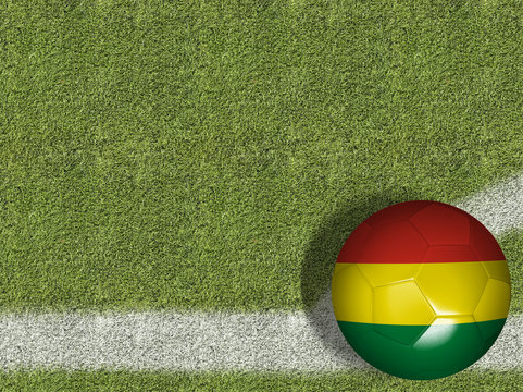 Bolivian Ball in a Soccer Field