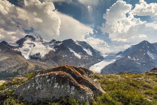Mt, Athabasca,l and Mt Andromeda and Columbia Icefield as seen from Wilcox Trail, Jasper National Park