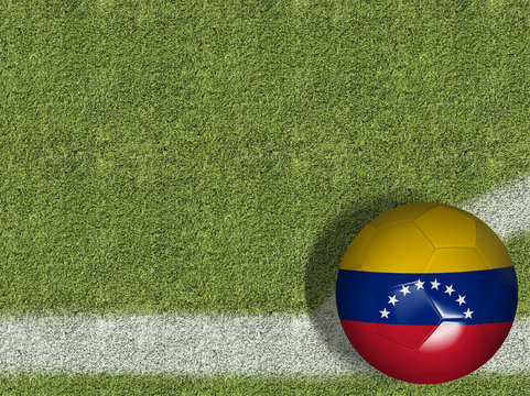 Venezuelan Ball in a Soccer Field