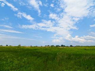 Wide green meadow