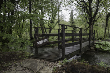 Fototapeta premium Bridge over a small river in the forest