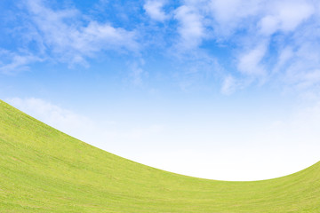 Background green grass and blue sky