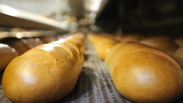 Bread in the bread machine in the factory