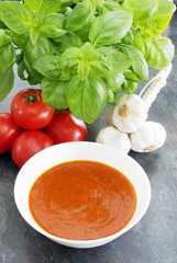 Tomato and Basil soup in a white soup bowl