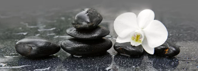 Foto auf Leinwand Weiße Orchidee und schwarze Steine hautnah. © Swetlana Wall