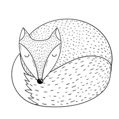 Fox sleeping vector illustration.