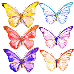 butterflies design