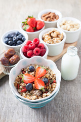Paleo style breakfast: grain free oat free granola  with almond milk and with mixed nuts, and fresh berries, selective focus