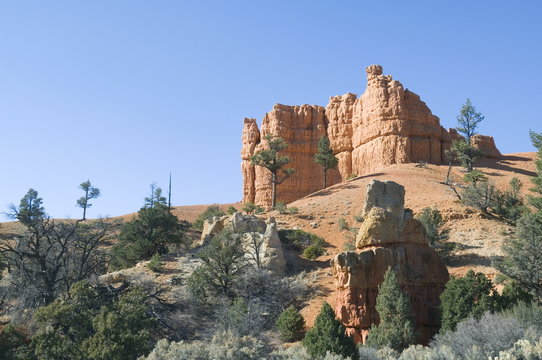Red Canyon in Dixie National Forest, Utah