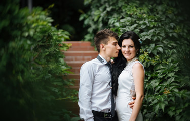 Fototapeta premium Beautiful summer Wedding walk on nature