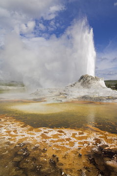 Castle Geyser erupting, Upper Geyser Basin, Yellowstone National Park, Wyoming