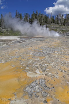 Grand Geyser erupting over sinter terrace, Upper Geyser Basin, Yellowstone National Park, Wyoming